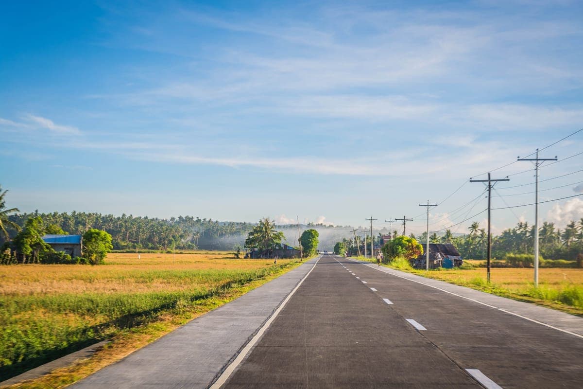 Straight concrete road between dry fields and coconut palms under a clear sky